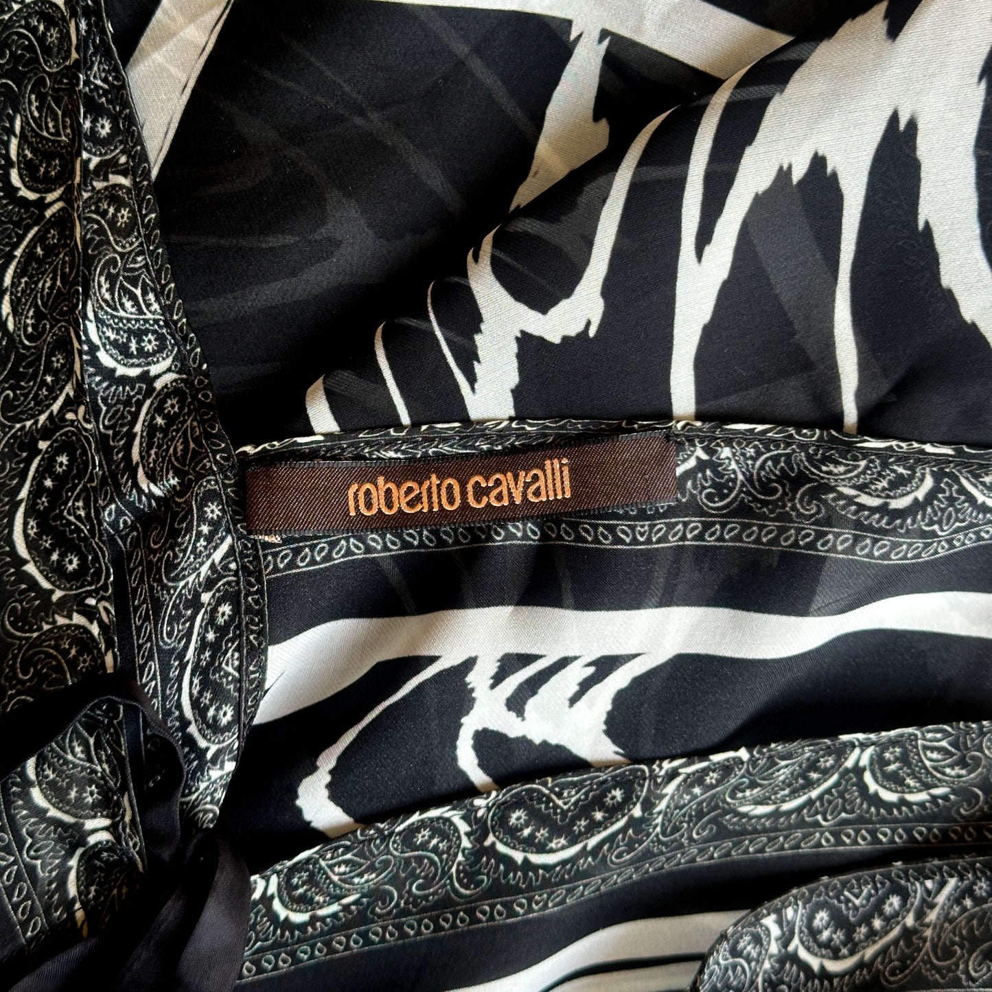 Robe Motif Zebre 2010 Roberto Cavalli
