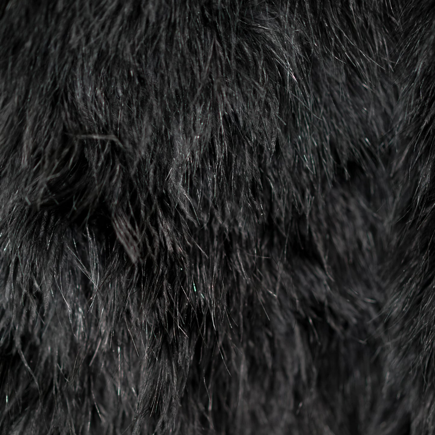 Manteau en Plumes Noir FW 2007 par Sonia Rykiel