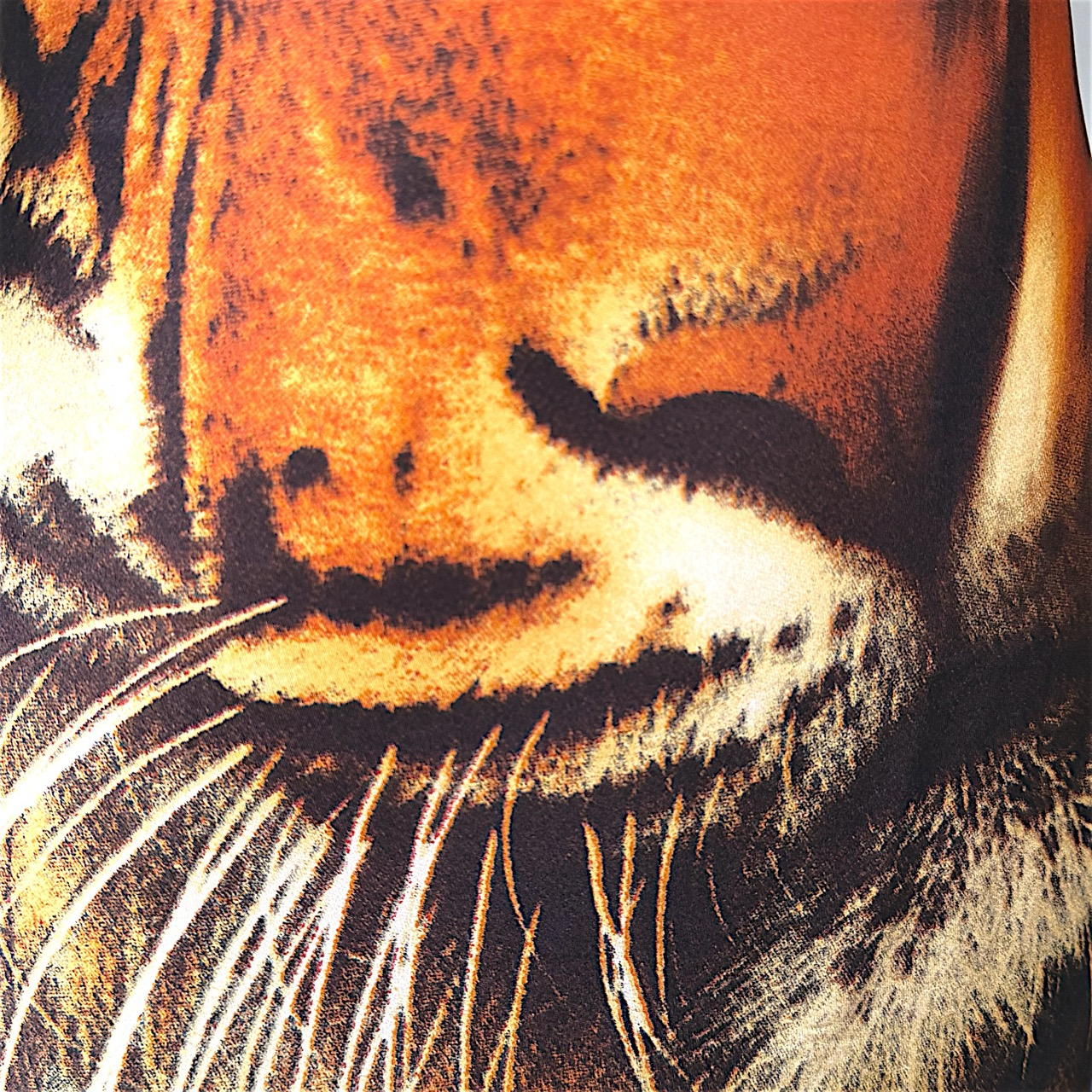Iconic Tiger Print Silk Midi Dress Roberto Cavalli FW 2000