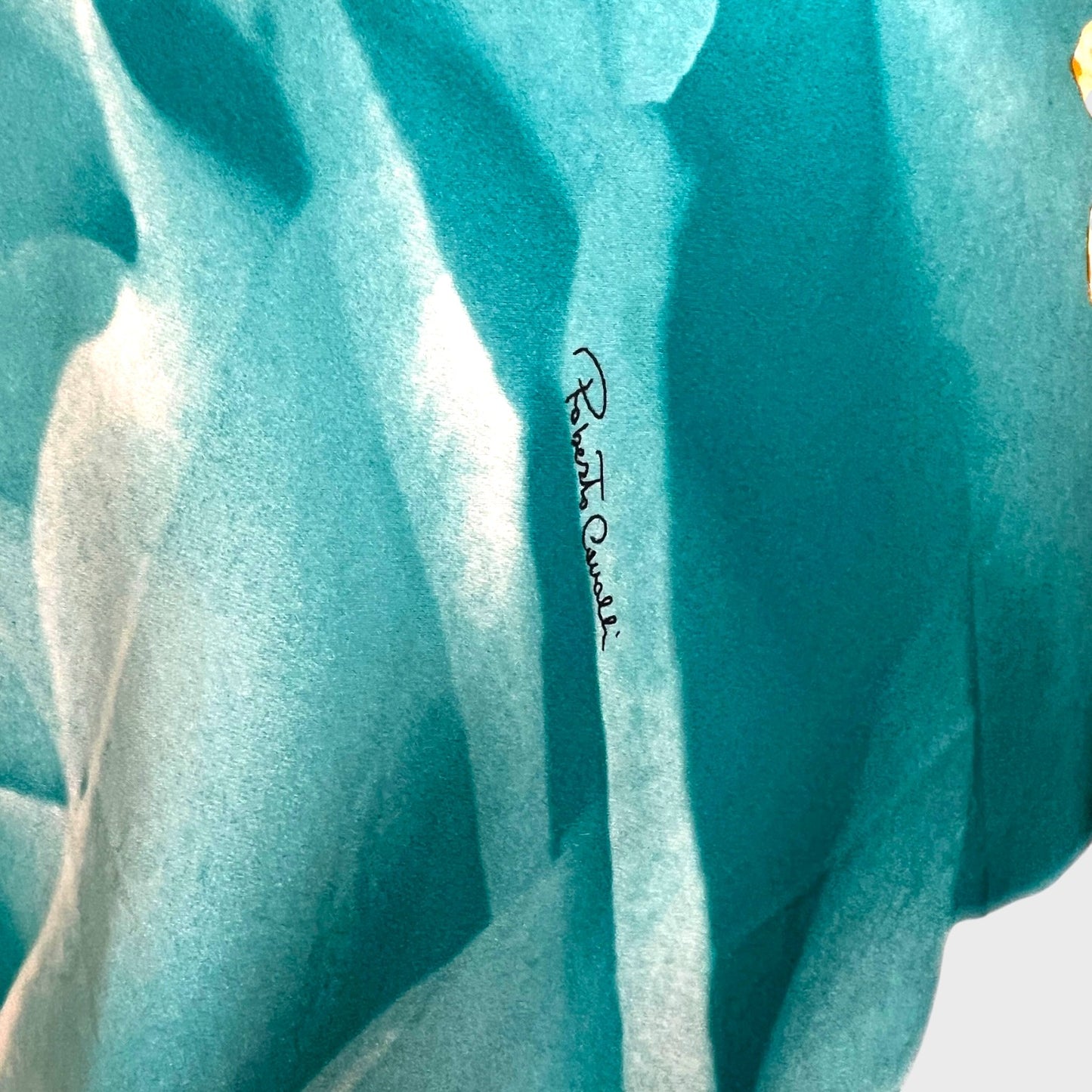 Liz Taylor Eye Print Blue Silk Dress Roberto Cavalli SS 2001